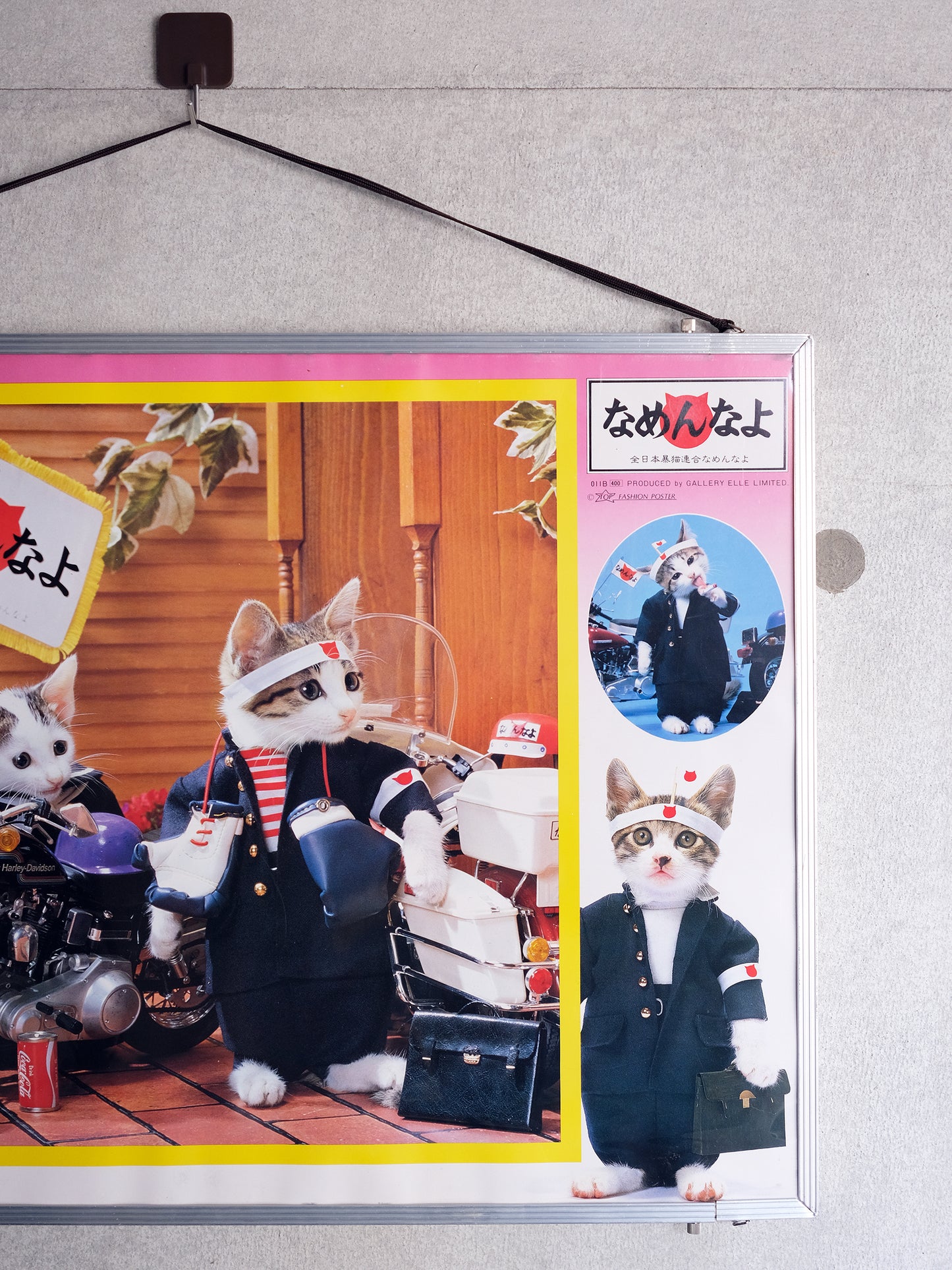 全日本暴貓連合なめんなよ 暴走貓 掛牆 海報 連畫框 Poster