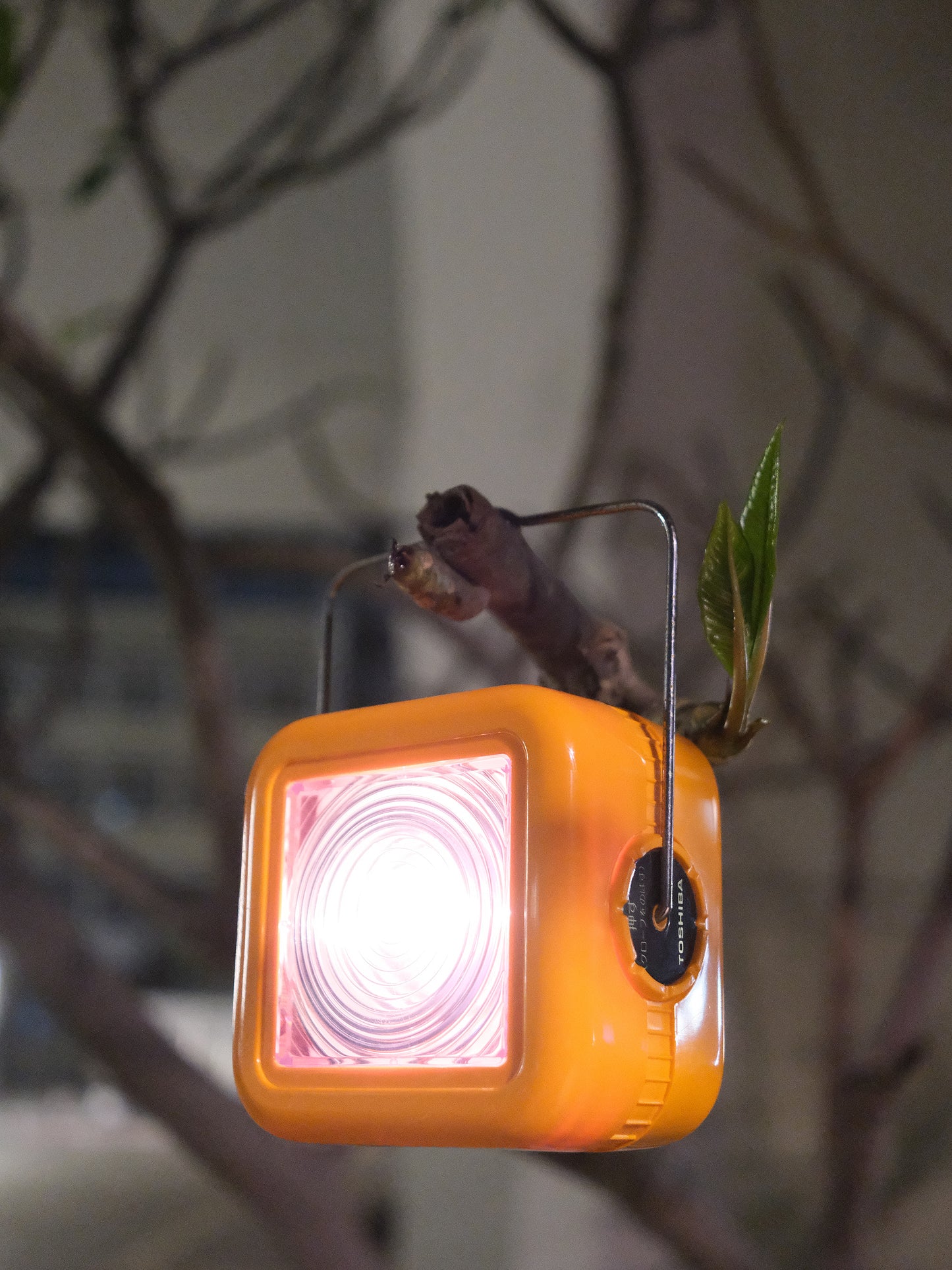日本制 Toshiba 東芝 L-9 可伸縮 戶外 防災燈 電筒 Adjustable Light Torch