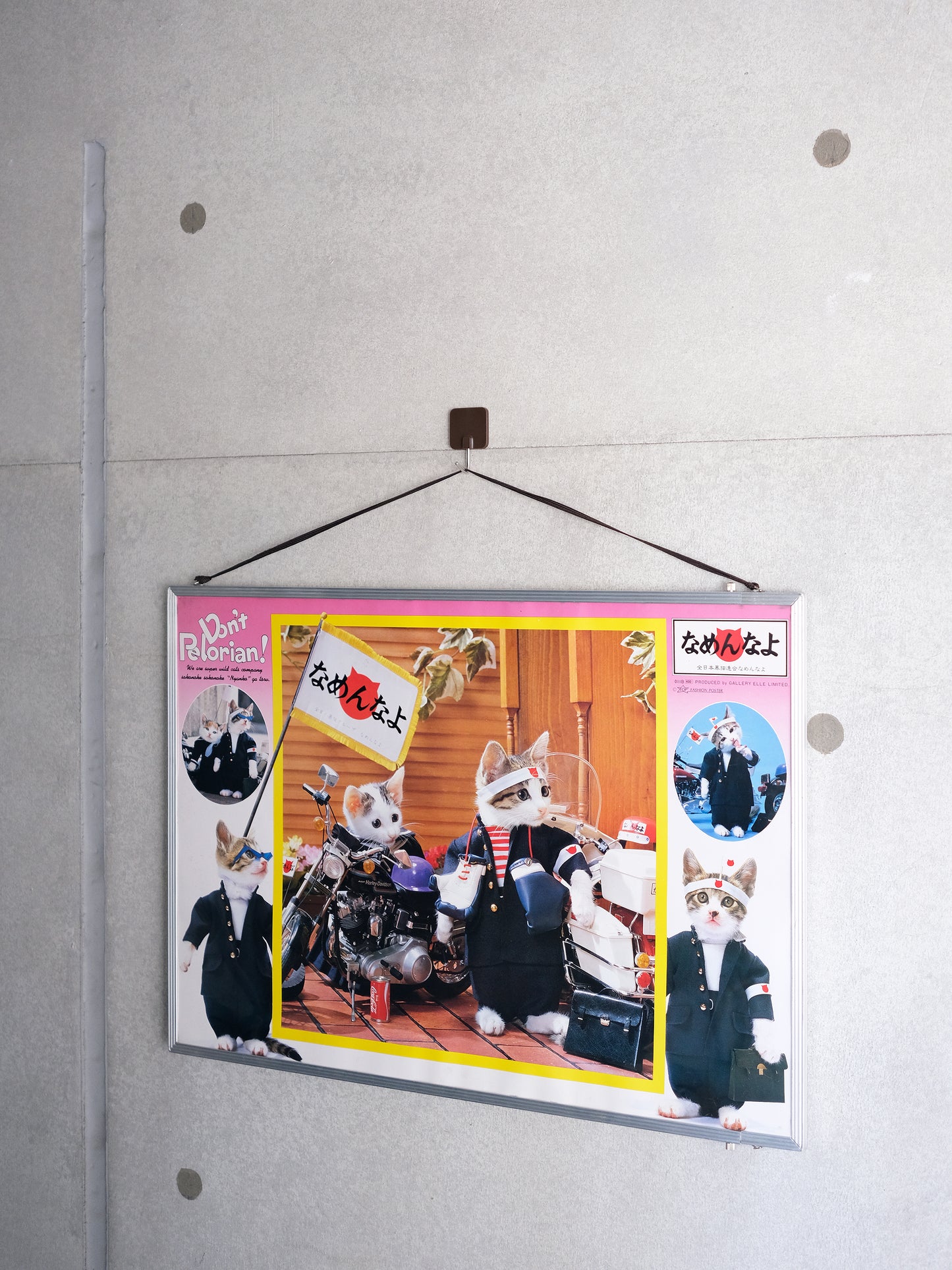 全日本暴貓連合なめんなよ 暴走貓 掛牆 海報 連畫框 Poster