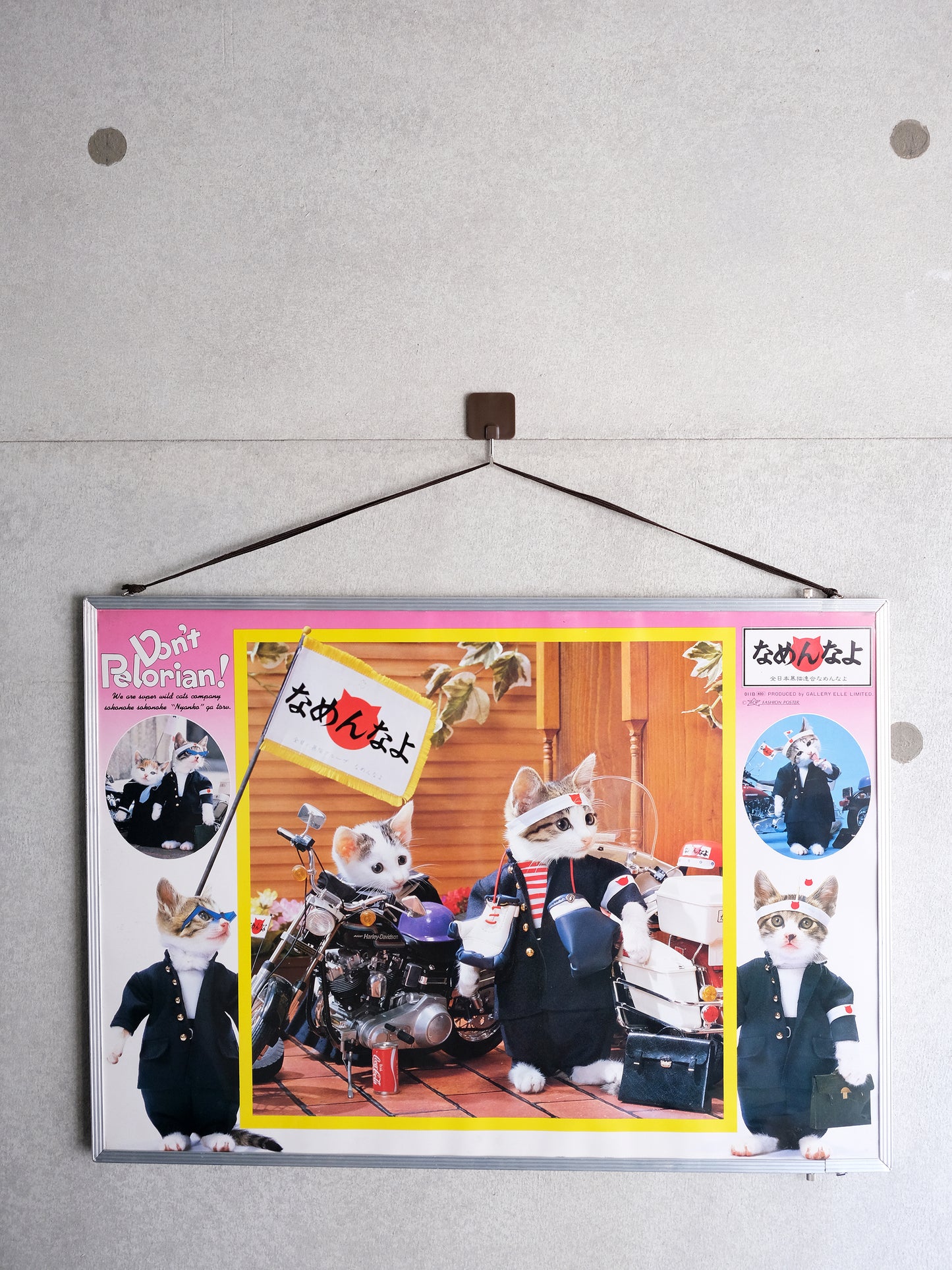 全日本暴貓連合なめんなよ 暴走貓 掛牆 海報 連畫框 Poster