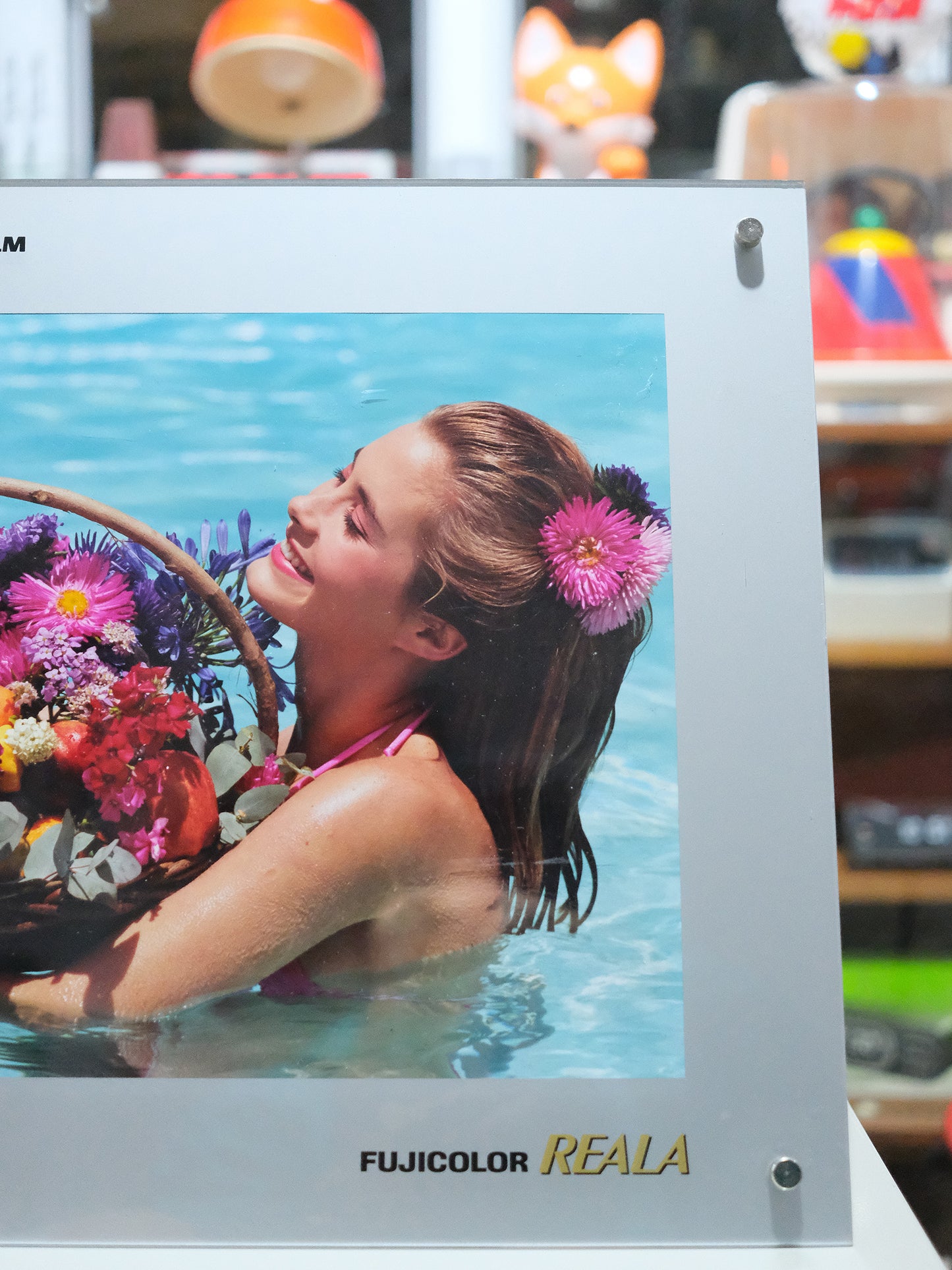 日本 FUJIFILM 富士菲林 店舖用 宣傳品 塑膠 相框 Photo Frame