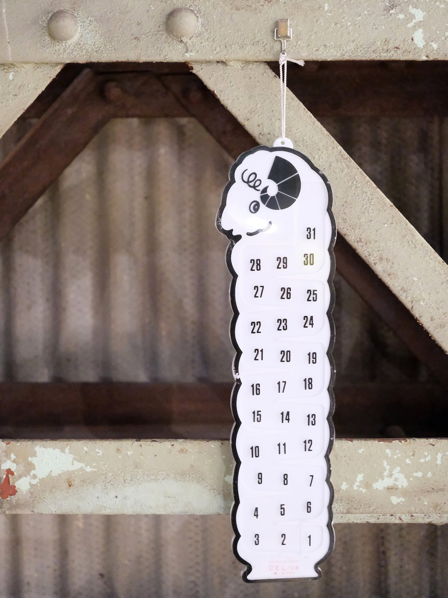 全新品 Shaddy Sheep Coin Calendar 羊型 掛牆 投幣式 日曆 貯金箱