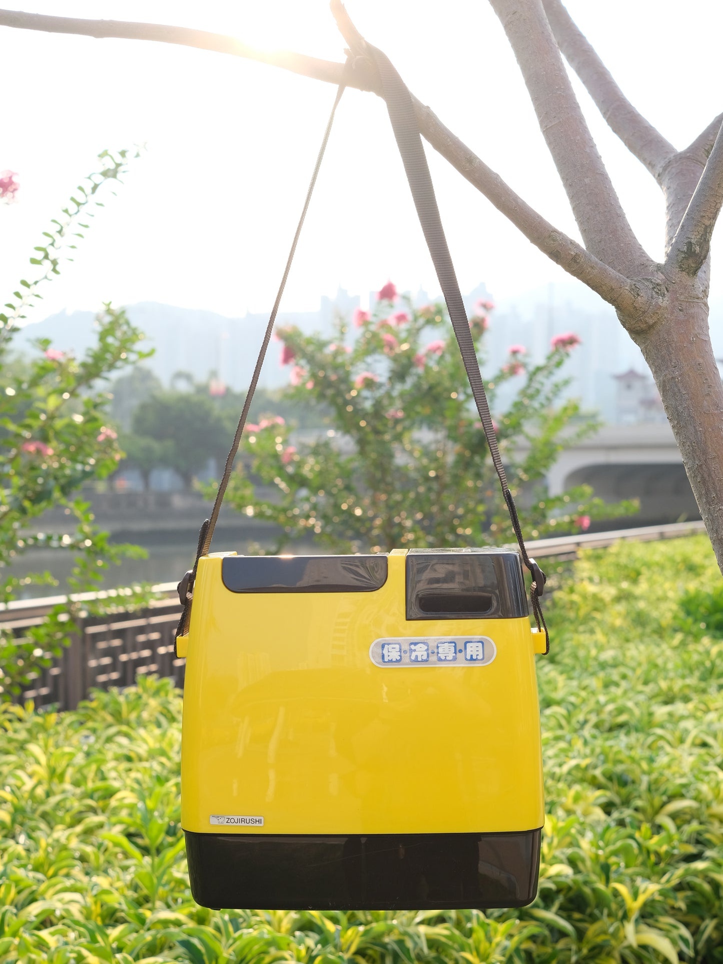 日本制 昭和 象印 Zojirushi DTG-300 戶外 可攜式 保冷水箱